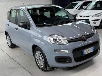 Fiat Panda 5 posti Euro 6 Neopatentati usata Sedriano
