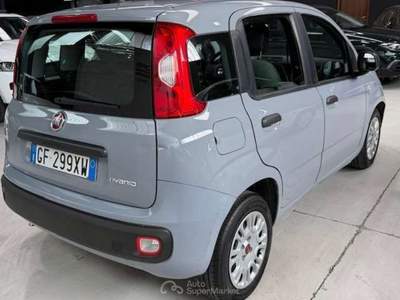 Fiat Panda 5 posti Euro 6 Neopatentati usata Sedriano