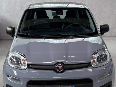 Fiat Panda 5 posti Euro 6 Neopatentati usata Sedriano