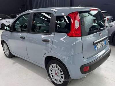 Fiat Panda 5 posti Euro 6 Neopatentati usata Sedriano