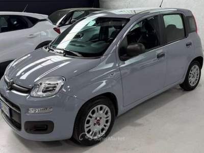 Fiat Panda 5 posti Euro 6 Neopatentati usata Sedriano