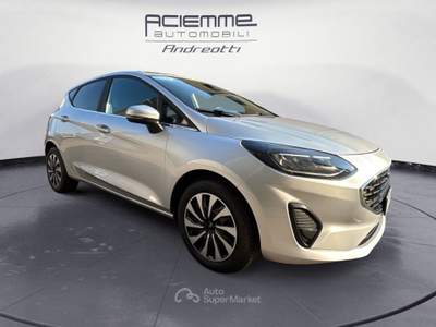 Ford Fiesta 1.1 75CV Titanium Grigio usata Rovigo