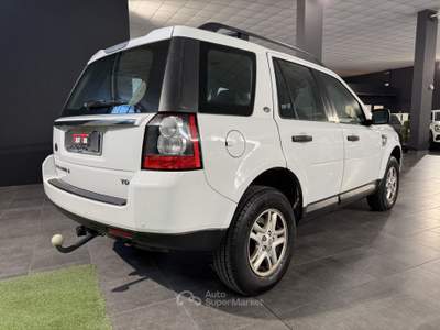 Land Rover Freelander 2.2 TD4 4WD Bianco usata Occhiobello