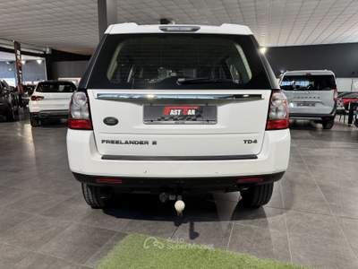 Land Rover Freelander 2.2 TD4 4WD Bianco usata Occhiobello