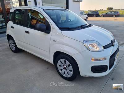 Fiat Panda  1.2 Pop Bianco usata Casatisma
