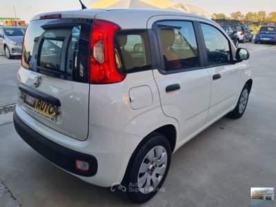 Fiat Panda  1.2 Pop Bianco usata Casatisma