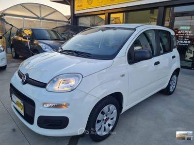 Fiat Panda  1.2 Pop Bianco usata Casatisma