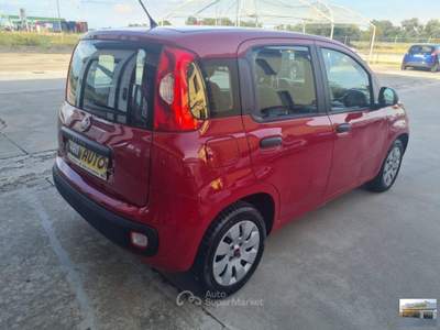 Fiat Panda 1.2 Lounge Rosso usata Casatisma