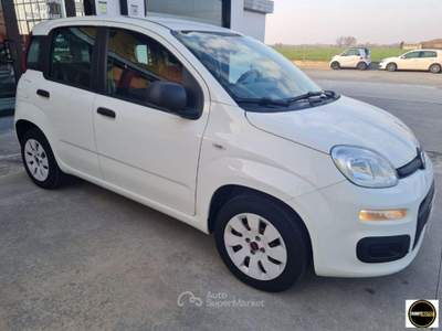 Fiat Panda 1.2 Connected by Wind usata Casatisma
