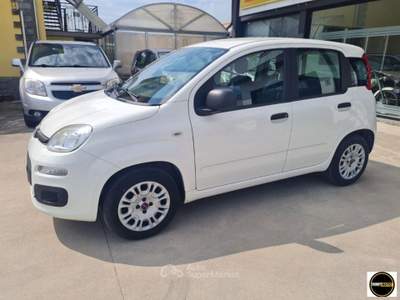Fiat Panda 1.2 EasyPower Lounge Bianco usata Casatisma