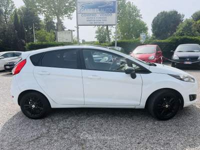 Ford Fiesta VI 5p 1.2 Black&White neopatentati Bianco usata Villadose