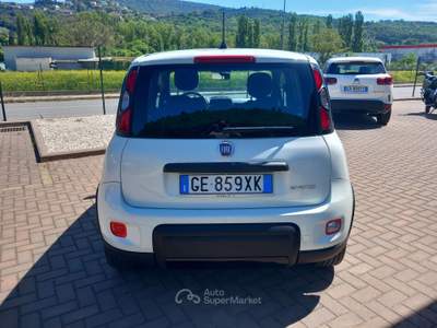 Fiat Panda Panda 1.0 Firefly Hybrid Sport PREZZO REALE!!!!!! Bianco usata Corciano