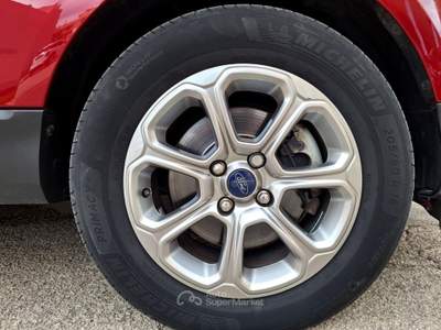 Ford EcoSport Ecoblue 100 CV Start&Stop Titanium Rosso usata Castellana Grotte