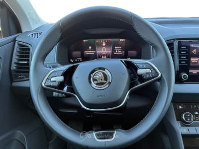 Skoda Karoq 1.0 TSI Selection Blu/Azzurro usata Pistoia