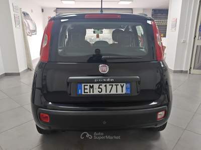 Fiat Panda Panda 1.3 mjt 16v Lounge 75cv Nero usata Striano