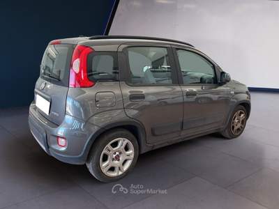 Fiat Panda III 2021 1.0 firefly hybrid City Life s&s 70cv 5p.ti Grigio usata Torino