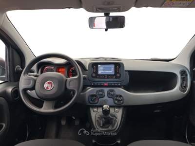 Fiat Panda III 2021 1.0 firefly hybrid City Life s&s 70cv 5p.ti Grigio usata Torino