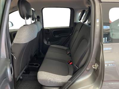 Fiat Panda III 2021 1.0 firefly hybrid City Life s&s 70cv 5p.ti Grigio usata Torino