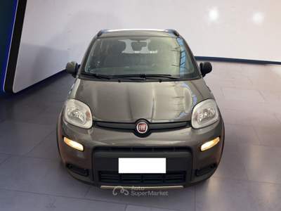 Fiat Panda III 2021 1.0 firefly hybrid City Life s&s 70cv 5p.ti Grigio usata Torino