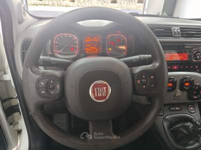 Fiat Panda 1.3  Multijet 16v 75cv S&S 4x4 Antartica Bianco usata Striano