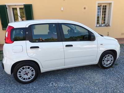 Fiat Panda Auto in ottime condizioni. Bianco usata Porcari