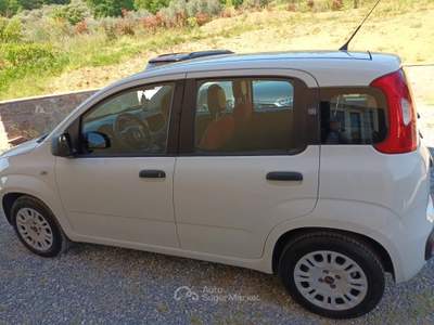 Fiat Panda Auto in ottime condizioni. Bianco usata Porcari