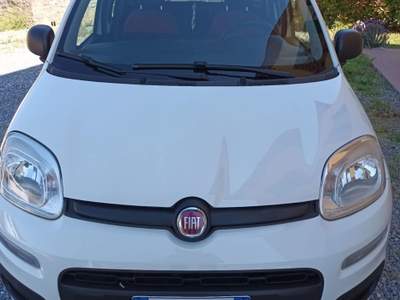Fiat Panda Auto in ottime condizioni. Bianco usata Porcari