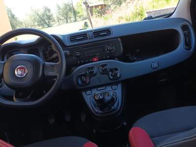 Fiat Panda Auto in ottime condizioni. Bianco usata Porcari