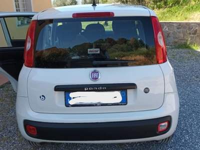 Fiat Panda Auto in ottime condizioni. Bianco usata Porcari
