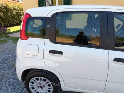 Fiat Panda Auto in ottime condizioni. Bianco usata Porcari