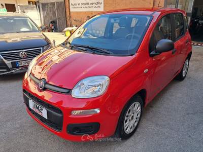 Fiat Panda 5 Posti - 4 Cilindri usata GROSSETO