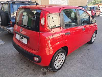 Fiat Panda 5 Posti - 4 Cilindri usata GROSSETO