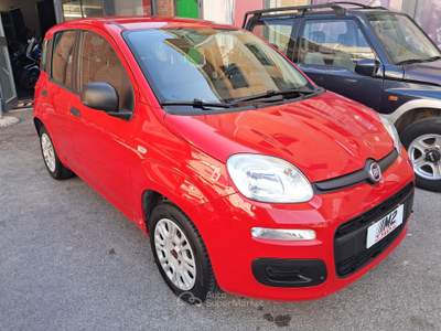 Fiat Panda 5 Posti - 4 Cilindri usata GROSSETO