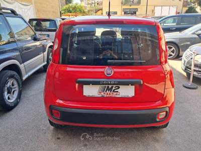 Fiat Panda 5 Posti - 4 Cilindri usata GROSSETO