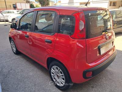 Fiat Panda 5 Posti - 4 Cilindri usata GROSSETO