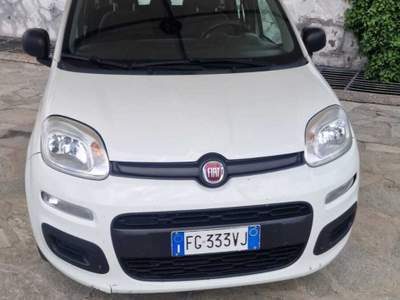 Fiat Panda Tenuta in eccellenti condizioni, tutto originale Bianco usata San Secondo di Pinerolo