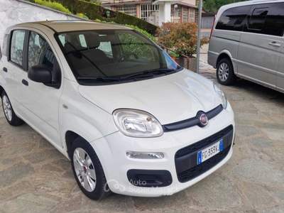 Fiat Panda Tenuta in eccellenti condizioni, tutto originale Bianco usata San Secondo di Pinerolo