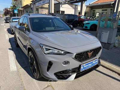 Cupra Formentor 2.0 TSI 4Drive DSG VZ Grigio usata Pieve a Nievole