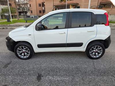 Fiat Panda 4X4 80 CV AUTOCARRO Bianco usata Grosseto