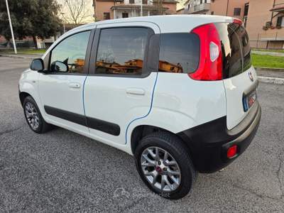 Fiat Panda 4X4 80 CV AUTOCARRO Bianco usata Grosseto