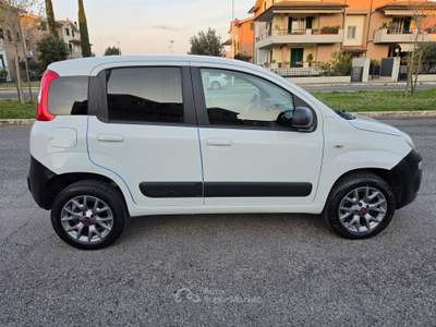 Fiat Panda 4X4 80 CV AUTOCARRO Bianco usata Grosseto