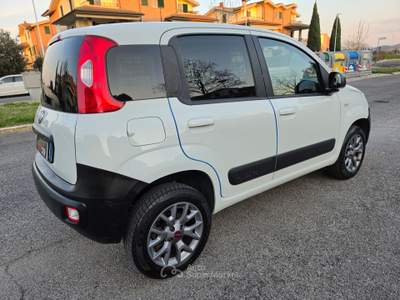 Fiat Panda 4X4 80 CV AUTOCARRO Bianco usata Grosseto