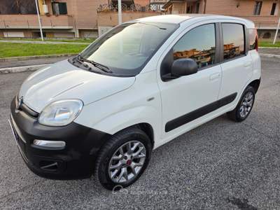 Fiat Panda 4X4 80 CV AUTOCARRO Bianco usata Grosseto
