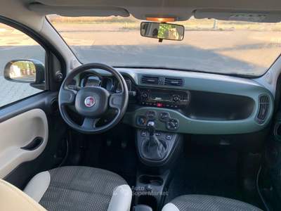 Fiat Panda 4X4 75 CAVALLI UNICO PROPR. Verde usata Grosseto
