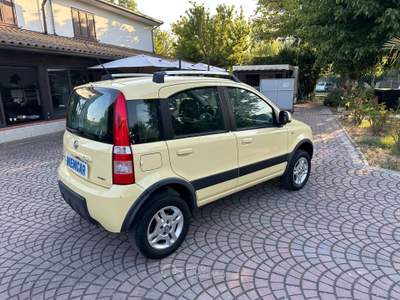 Fiat Panda Panda 1.3 mjt 16v 4x4 IDONEA PER NEOPATENTATI Giallo usata Rimini