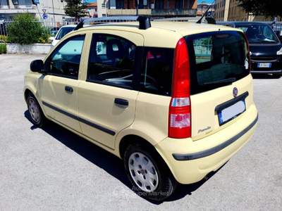 Fiat Panda 1.2 Dynamic Giallo usata Arezzo