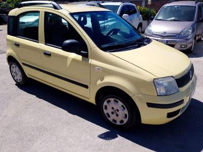 Fiat Panda 1.2 Dynamic Giallo usata Arezzo