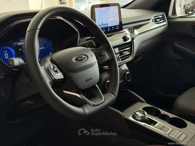 Ford Kuga Kuga 2.0 EcoBlue 120 CV aut. 2WD ST-Line Bianco usata San Michele salentino