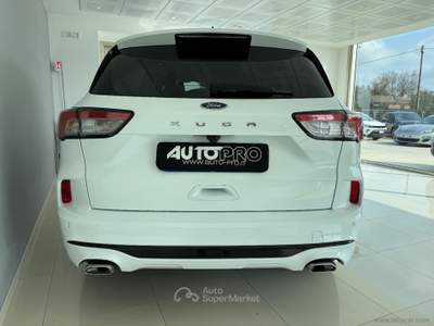 Ford Kuga Kuga 2.0 EcoBlue 120 CV aut. 2WD ST-Line Bianco usata San Michele salentino