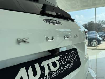 Ford Kuga Kuga 2.0 EcoBlue 120 CV aut. 2WD ST-Line Bianco usata San Michele salentino
